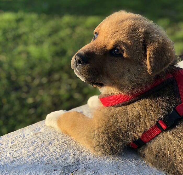 Here Are The 50 Worst Legal Things That Should Be Illegal, As Shared In This Online Thread