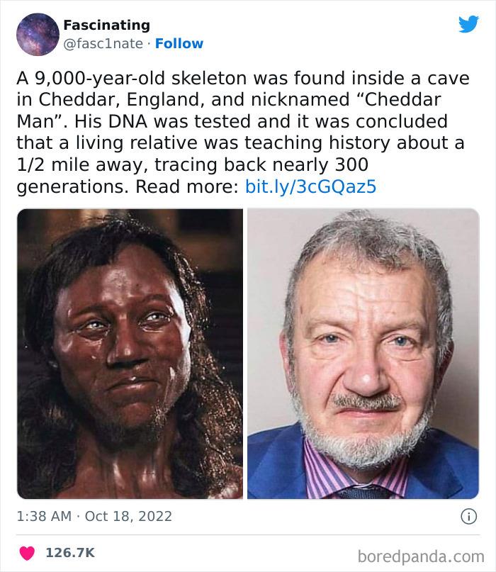 Interesting-Science-History-Art-Fasc1nate