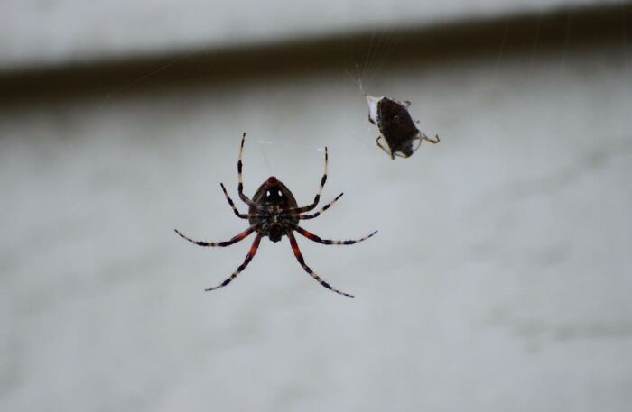 "2 Different Hidden Cameras": 35 Airbnb Horror Stories That Are Not For The Fainthearted