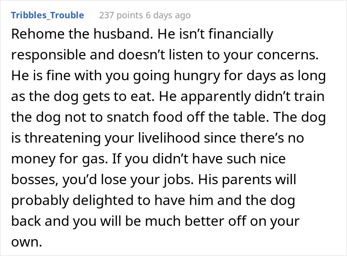 Woman Asks If She Is Being Selfish For Wanting Her Husband&rsquo;s Dog Gone When It Ate Her Food She Got For The First Time In 2 Days
