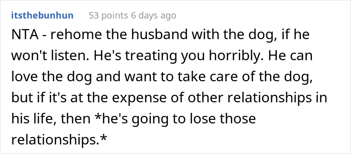 Woman Asks If She Is Being Selfish For Wanting Her Husband&rsquo;s Dog Gone When It Ate Her Food She Got For The First Time In 2 Days