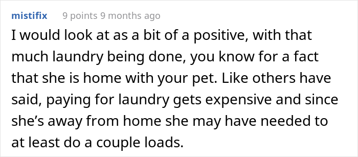 Dog-Sitter Does 'Insane Amount' Of Laundry At Client's Home Without Realizing The Owner Gets Notified Each Time It's Done Dog-Sitter Does 'Insane Amount' Of Laundry At Client's Home Without Realizing The Owner Gets Notified Each Time It's Done
