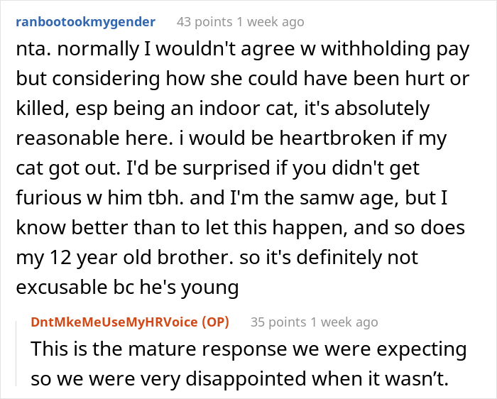 16 Y.O. Loses His Neighbor's Cat That He Was Supposed To Pet Sit, His Mom Is Upset About The Neighbors Refusing To Pay For His Work