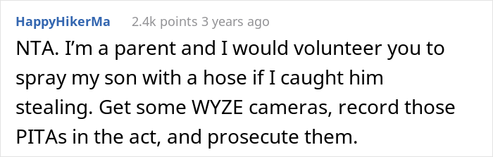 "None Of Them Were Willing To Apologize For Their Children's Actions": Guy Sprays Thieving Kids With Garden Hose