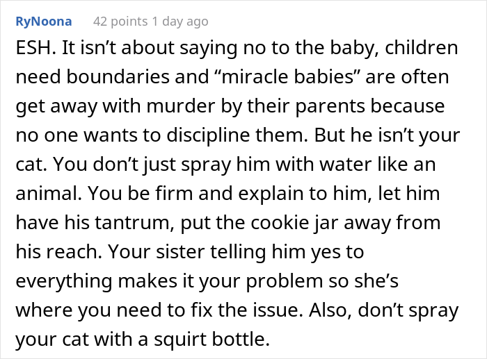 "He Is A Monster": Aunt Uses A Spray Bottle To Discipline Her "Rainbow Baby" Nephew Who Is Spoiled Beyond Belief, Causes Drama "He Is A Monster": Aunt Uses A Spray Bottle To Discipline Her "Rainbow Baby" Nephew Who Is Spoiled Beyond Belief, Causes Drama