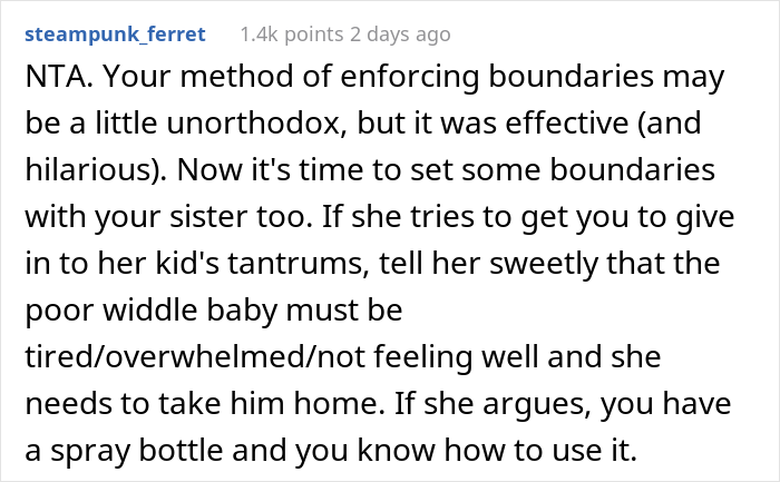 "He Is A Monster": Aunt Uses A Spray Bottle To Discipline Her "Rainbow Baby" Nephew Who Is Spoiled Beyond Belief, Causes Drama "He Is A Monster": Aunt Uses A Spray Bottle To Discipline Her "Rainbow Baby" Nephew Who Is Spoiled Beyond Belief, Causes Drama
