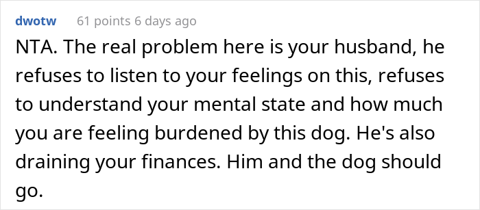 Woman Asks If She Is Being Selfish For Wanting Her Husband&rsquo;s Dog Gone When It Ate Her Food She Got For The First Time In 2 Days