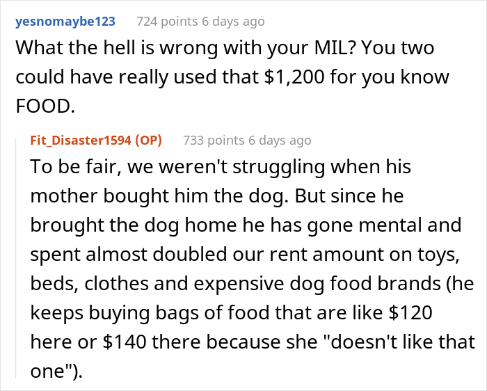 Woman Asks If She Is Being Selfish For Wanting Her Husband&rsquo;s Dog Gone When It Ate Her Food She Got For The First Time In 2 Days