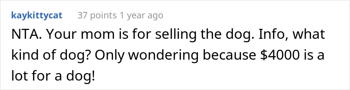 Family Drama Ensues After Dad Gifts His Son A Dog, Mom Sells It For $4K And Says That It Ran Away