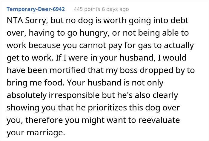 Woman Asks If She Is Being Selfish For Wanting Her Husband&rsquo;s Dog Gone When It Ate Her Food She Got For The First Time In 2 Days