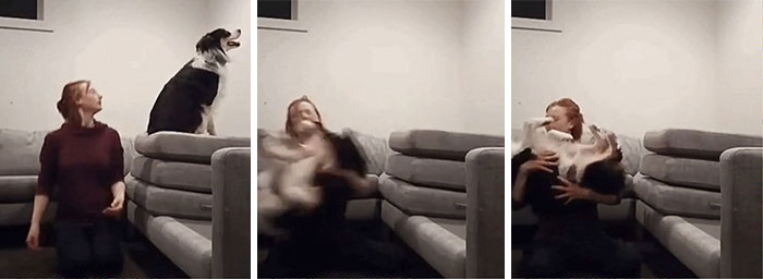 🙏🤞trust Fall 🤞🙏