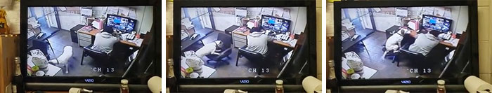 Dog Pushes Chair To Take A Seat Next To His Human Friend