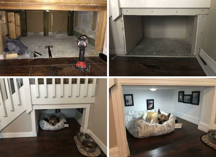 Good Boy Gets A Special Room All To Himself