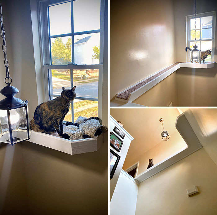 Made Her A Bridge To The Window She Always Stared At But Could Never Reach