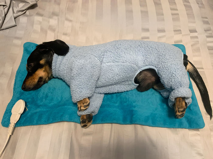 It’s Charlie’s Heating Pad