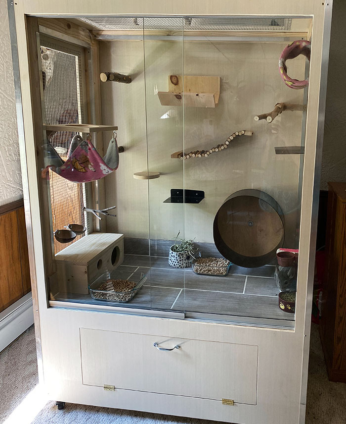 My Brother And I Built A Custom Chinchilla Mansion