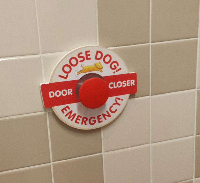 This Pet Shop Has An Emergency Door Lock For Runaways