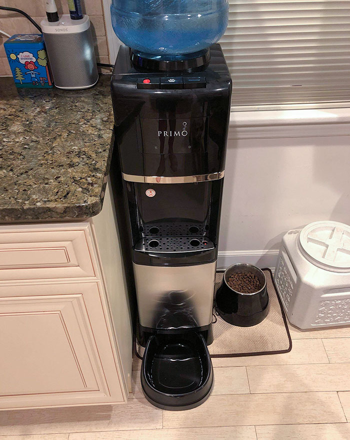 My Water Cooler Has A Built-In Pet Water Bowl