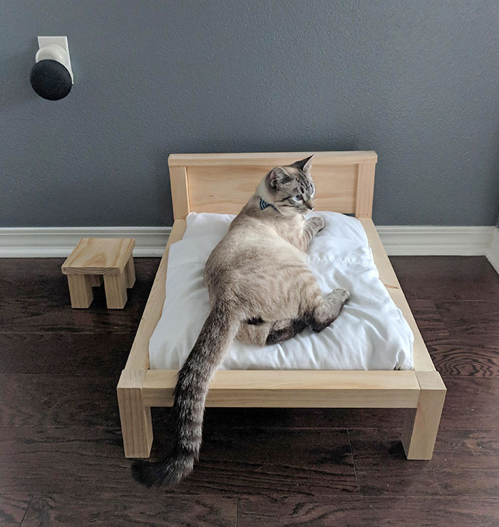 Husband Said He Was Going To Make A Bed Frame. I Thought It Was For Our New Mattress. It Was For The Cat