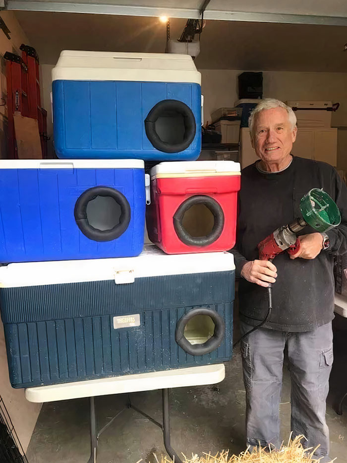 This Man Is Recycling Old Picnic Coolers Into Shelters For Stray Cats For Winter! How Very Cool Is This