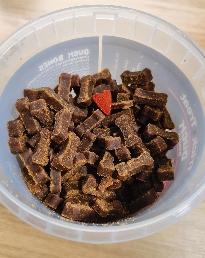 There Was One Heart-Shaped Treat In My Dog's Bone-Shaped Treats