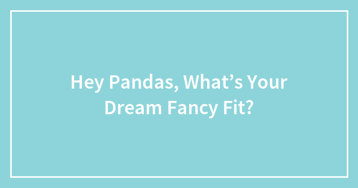 Hey Pandas, What’s Your Dream Fancy Fit?