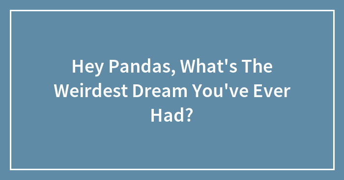 Hey Pandas, What’s The Weirdest Dream You’ve Ever Had?
