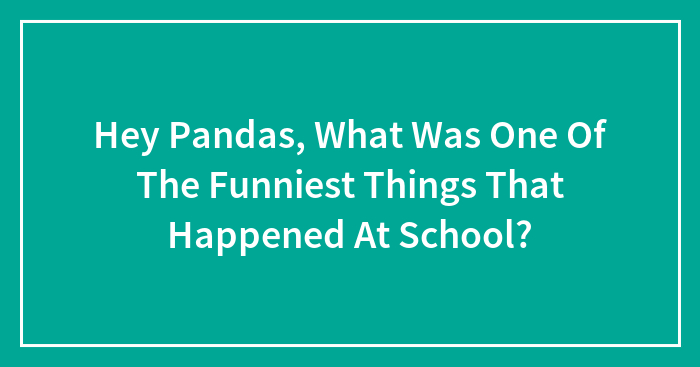 Hey Pandas, What Was One Of The Funniest Things That Happened At School?
