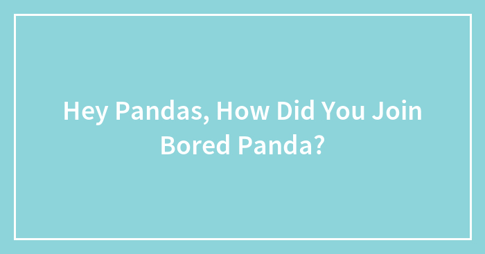 Hey Pandas, How Did You Join Bored Panda? (Closed)