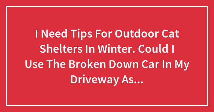 I Need Tips For Outdoor Cat Shelters In Winter. Could I Use The Broken Down Car In My Driveway As A Winter Shelter For Cats?