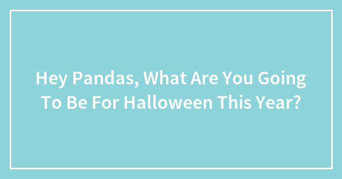 Hey Pandas, What Are You Going To Be For Halloween This Year? (Closed)
