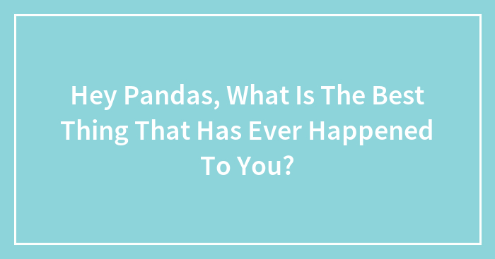 Hey Pandas, What Is The Best Thing That Has Ever Happened To You?