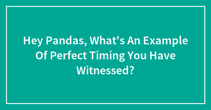 Hey Pandas, What’s An Example Of Perfect Timing You Have Witnessed? (Closed)