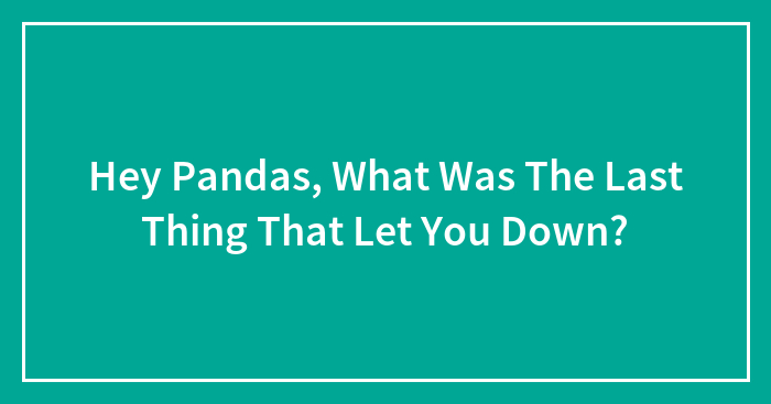 Hey Pandas, What Was The Last Thing That Let You Down? (Closed)