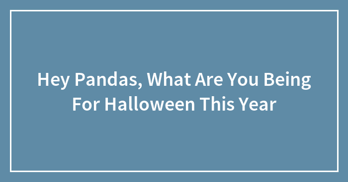 Hey Pandas, What Are You Being For Halloween This Year (Closed)