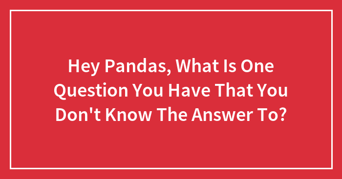 Hey Pandas, What Is One Question You Have That You Don’t Know The Answer To?