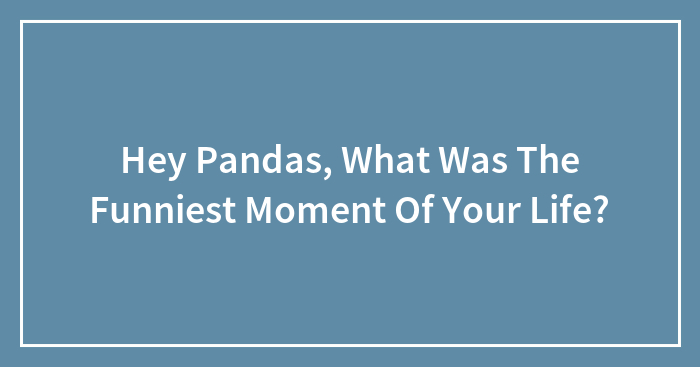 Hey Pandas, What Was The Funniest Moment Of Your Life?