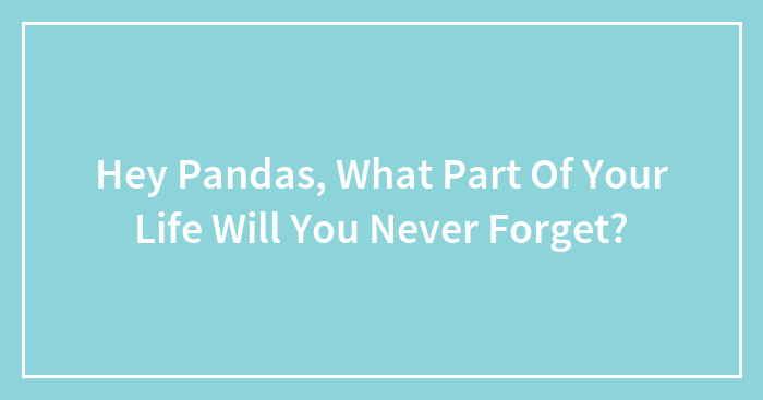 Hey Pandas, What Part Of Your Life Will You Never Forget? (Closed)