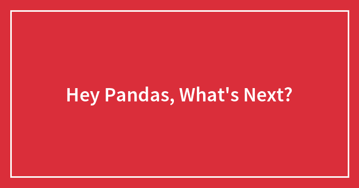 Hey Pandas, What’s Next?