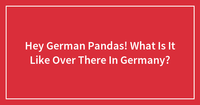 Hey German Pandas! What Is It Like Over There In Germany?