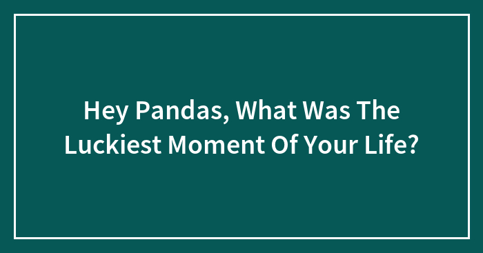 Hey Pandas, What Was The Luckiest Moment Of Your Life? (Closed)