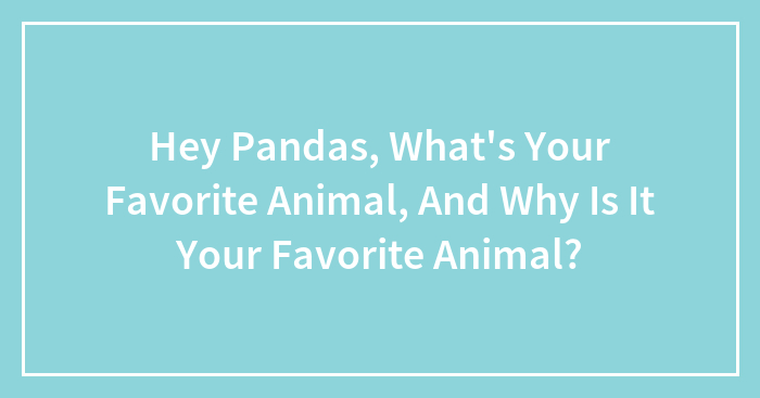 Hey Pandas, What’s Your Favorite Animal, And Why Is It Your Favorite Animal?