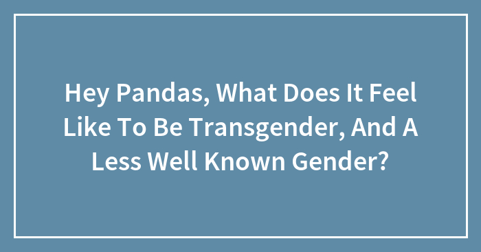 Hey Pandas, What Does It Feel Like To Be Transgender, And A Less Well Known Gender?