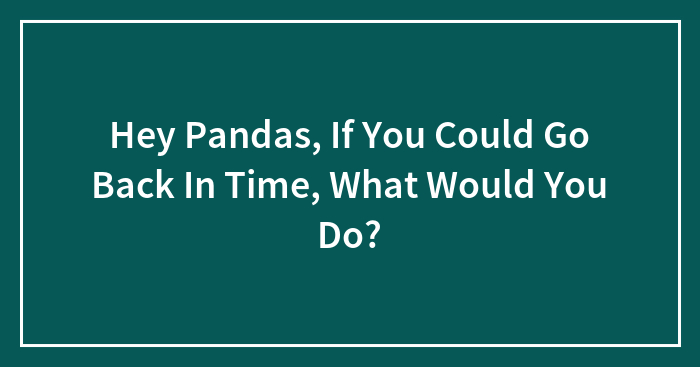 Hey Pandas, If You Could Go Back In Time, What Would You Do? (Closed)