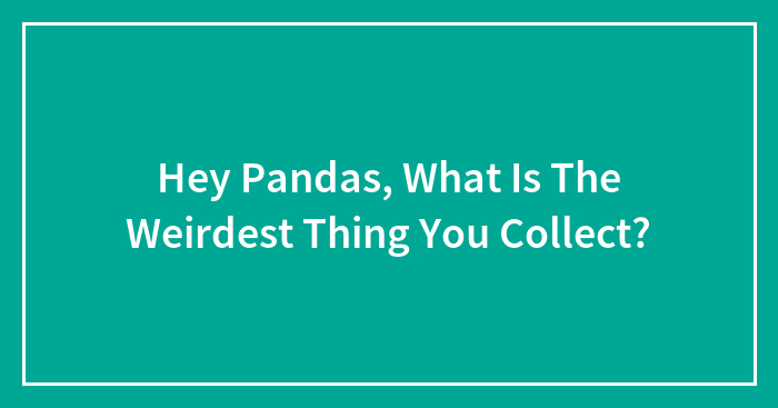 Hey Pandas, What Is The Weirdest Thing You Collect?