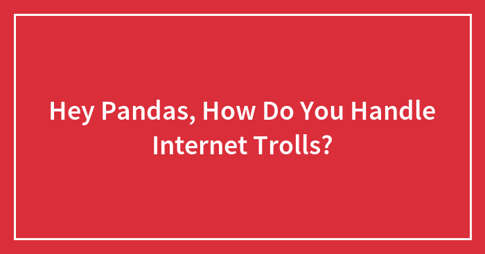 Hey Pandas, How Do You Handle Internet Trolls?
