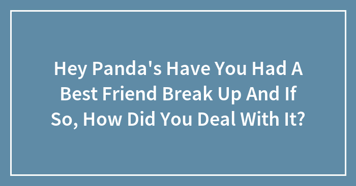 Hey Panda’s Have You Had A Best Friend Break Up And If So, How Did You Deal With It?