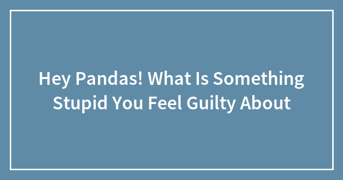 Hey Pandas! What Is Something Stupid You Feel Guilty About