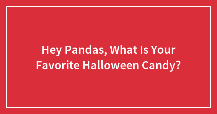 Hey Pandas, What Is Your Favorite Halloween Candy?