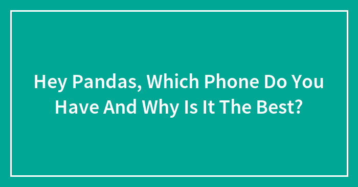 Hey Pandas, Which Phone Do You Have And Why Is It The Best?